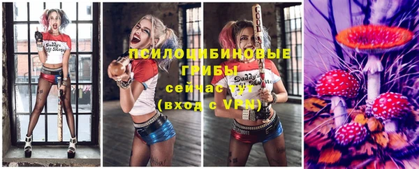 а пвп мука Белокуриха