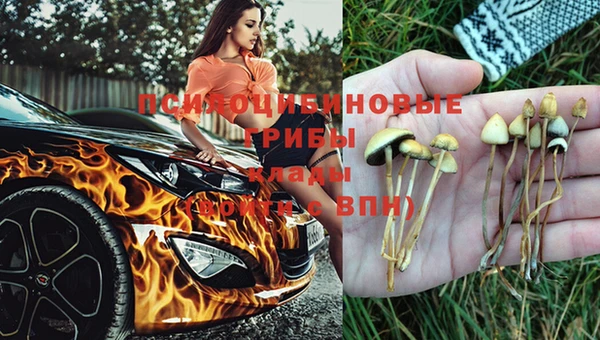 Альфа ПВП Зарайск