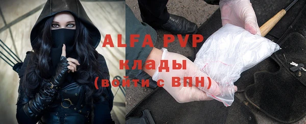 ГАЛЛЮЦИНОГЕННЫЕ ГРИБЫ Балахна