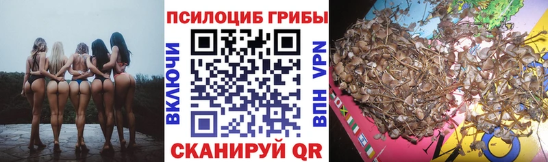 Галлюциногенные грибы Cubensis  Мезень 